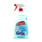 DETERGENTE VETRI e SPECCHI SPRAY 750ml