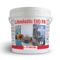 LITOELASTIC EVO FR 5kg BIANCO Adesivo Reattivo Flessibilizzato per impiego in ambito NAVALE LITOELASTIC EVO FR 5kg BIANCO Adesivo Reattivo Flessibilizzato per impiego in ambito NAVALE