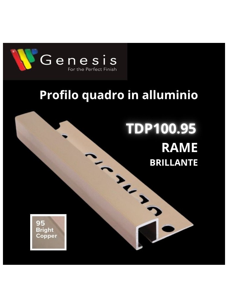 TDP100.95 -  PROFILO QUADRO Alluminio 10mm X...