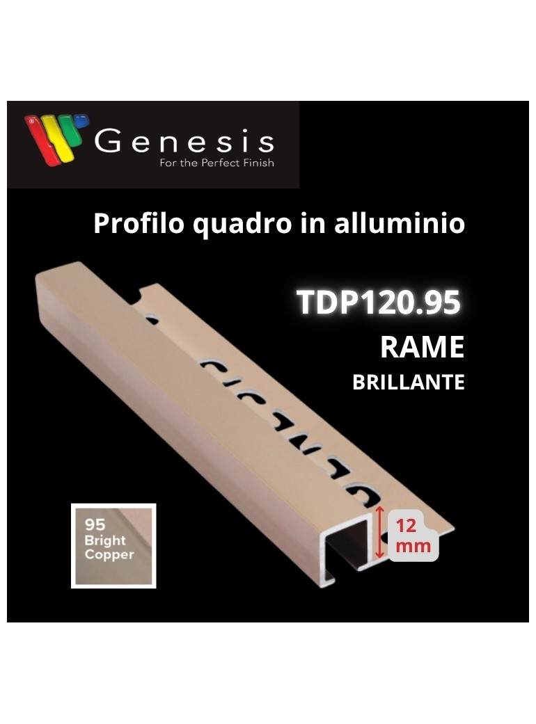 TDP120.95 -  PROFILO QUADRO Alluminio  10mm X...